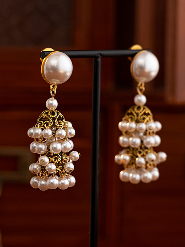 Tasseled Earrings Accessories